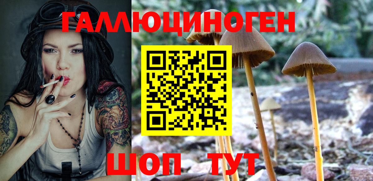 Киселёвск  Псилоцибиновые грибы ЛСД  Вход с VPN 